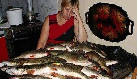 Halrecept finnül