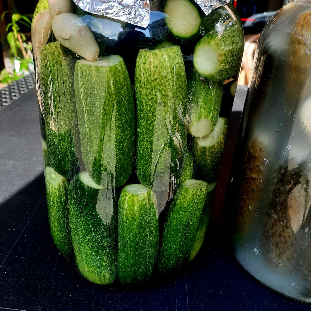 Glória/ hajvágás/időskori szerelem –  Hírlevél 2025/05/27