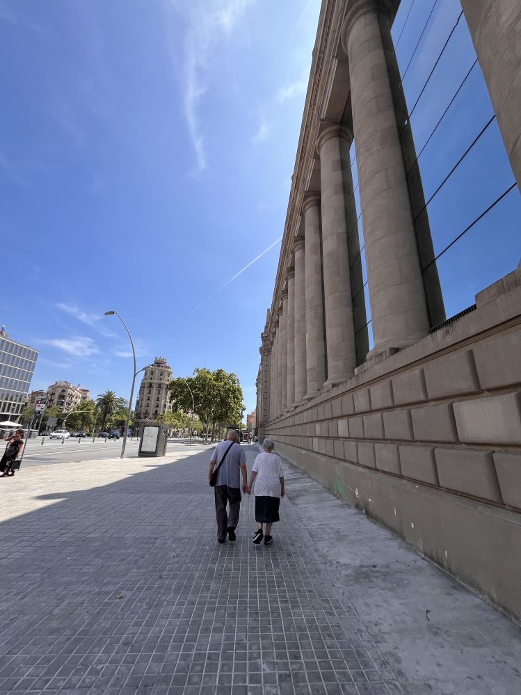 Szendvicsgeneracio, Fundacio Roure