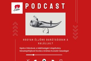 Hogyan éljünk barátságban a halállal?