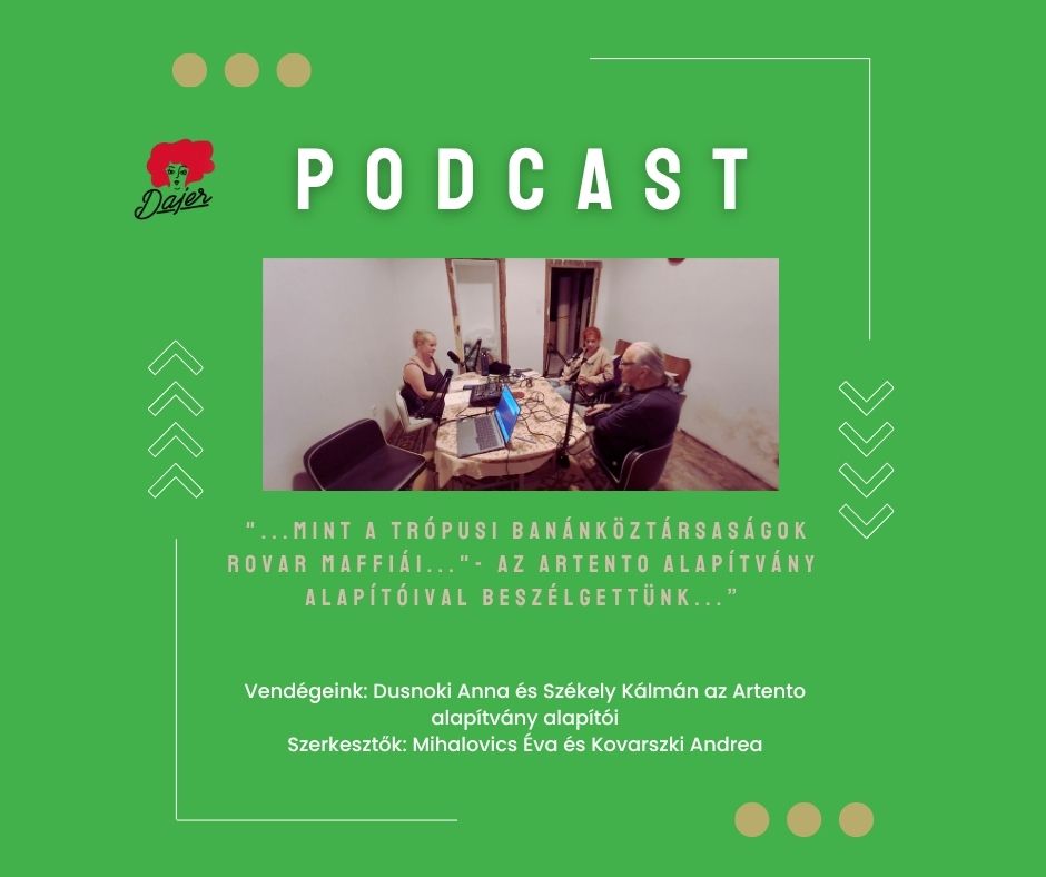 „… mint a trópusi banánköztársaságok rovar maffiái…”- az ArtEnto alapítvány alapítóival beszélgettünk