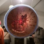 Az elfogadáson nyugvó térben szárnyal a kreativitás –  Neurodiverzitás a Budapest Galériában