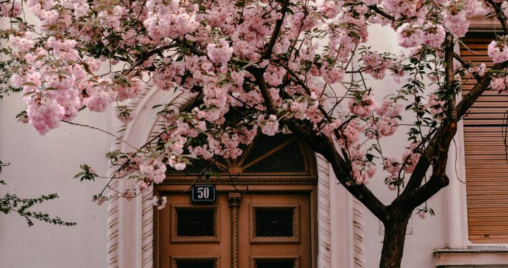 marijana vasic hKaoVrHXJXE unsplash