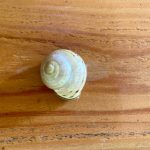 „Jutalomjáték ez” – Lúzerapa-blog 3.